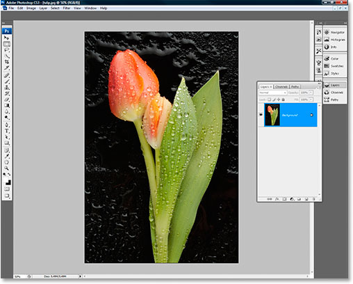 An image open inside Photoshop CS3