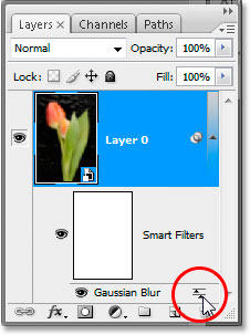 The Filter Blending Options icon in Photoshop CS3's layers palette