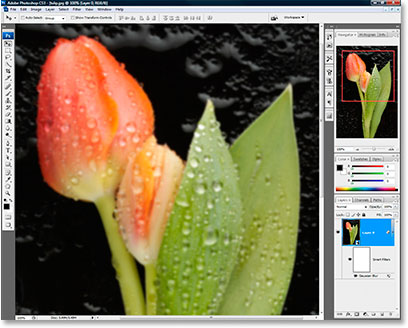 Photoshop CS3 изображение после смазывания, применяются.