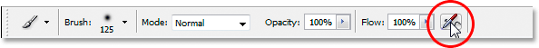 Photoshop's Options Bar.