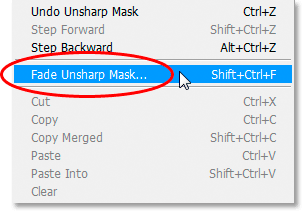 Photoshop's Fade command.