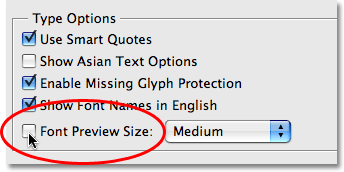 The Font Preview Size option in the Type section of Photoshop's Preferences. Image © 2008 Photoshop Essentials.com