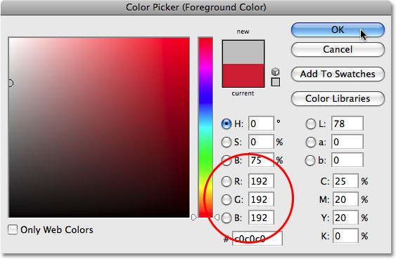 The Color Picker in Photoshop. Image &copy; 2008 Photoshop Essentials.com