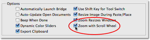 The Zoom with Scroll Wheel option in the Photoshop Preferences. Image © 2008 Photoshop Essentials.com
