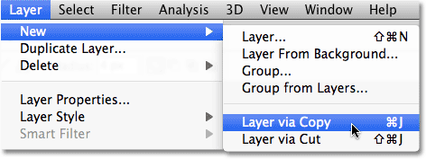 Go to Layer, New, Layer via Copy. Image © 2010 Photoshop Essentials.com.