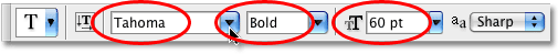 The Type Options in the Options Bar in Photoshop. Image &copy; 2009 Photoshop Essentials.com