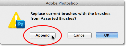 Appending the new brush set with the current brushes. Image &copy; 2011 Photoshop Essentials.com
