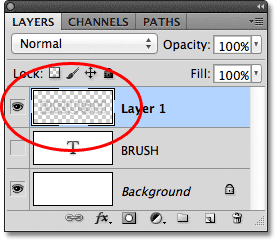 Clicking in an empty area in the Paths panel to hide the path in the document. Image &copy; 2011 Photoshop Essentials.com