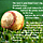 How To Fake Text Wrap In Photoshop Preview