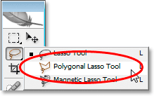 Adobe Photoshop Text Effects: Selecting the Polygonal Lasso tool from the Tools palette.