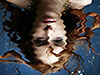 Add A Realistic Water Reflection To Any Photo
