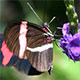 Add Visual Interest To Your Photos With The Rule Of Thirds