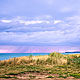 Enhance Colors In An Image With Photoshop's Photo Filter