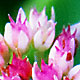 Reducing Photoshop File Sizes with Adjustment Layers