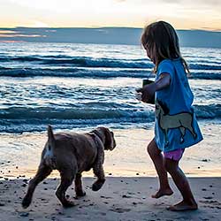 How to open an image in Camera Raw