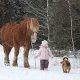 Photoshop Weather Effects - Snow