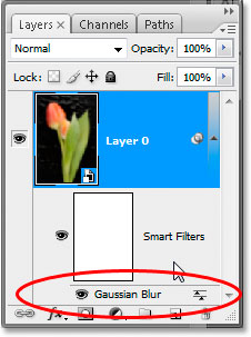 The Layers palette in Photoshop CS3 showing my Gaussian Blur smart filter.