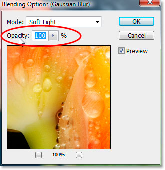 The Opacity setting in the Blending Options dialog box