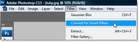 File - Convert For Smart Filters