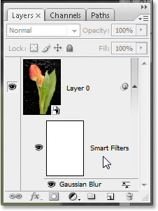 The Layers palette in Photoshop CS3 showing my Gaussian Blur smart filter.