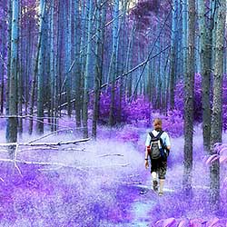 photoshop effect tutorial pdf photoshop effect tutorial pdf