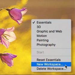 Photoshop CC Workspaces Tutorial