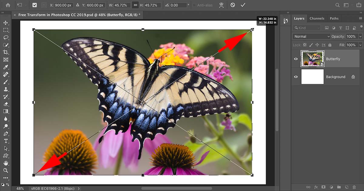 Photoshop Free Transform Tool - Inselmane