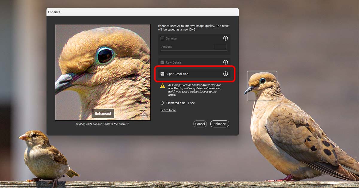 Upscale Images with Super Resolution in Adobe Camera Raw
