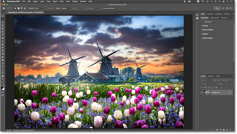 The original photo used in the Photo to Painting with Generative Fill tutorial.
